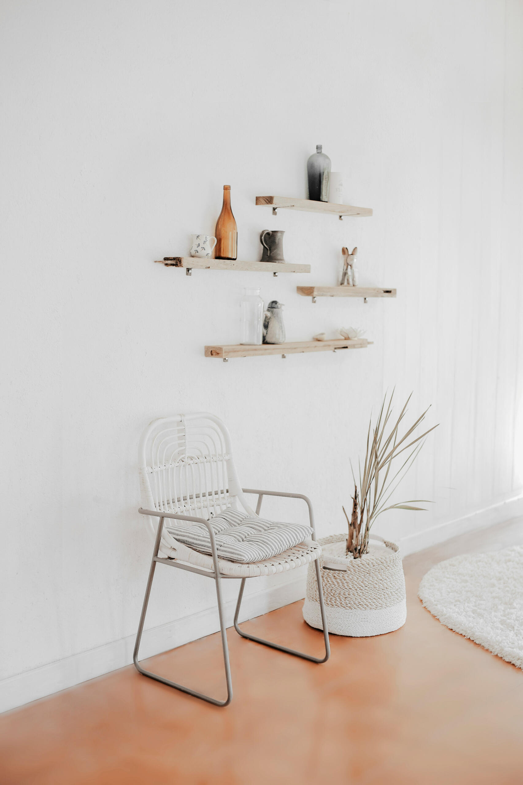 Seed and Scale, social media support, digital marketing UK, Northern Ireland startups, small business marketing, boho branding, warm minimalist design, creative content, Instagram management, Facebook strategy, authentic marketing, branding for entrepreneu